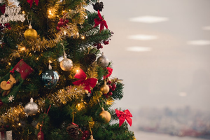 Een kerstboom die past bij een druk gezinsleven